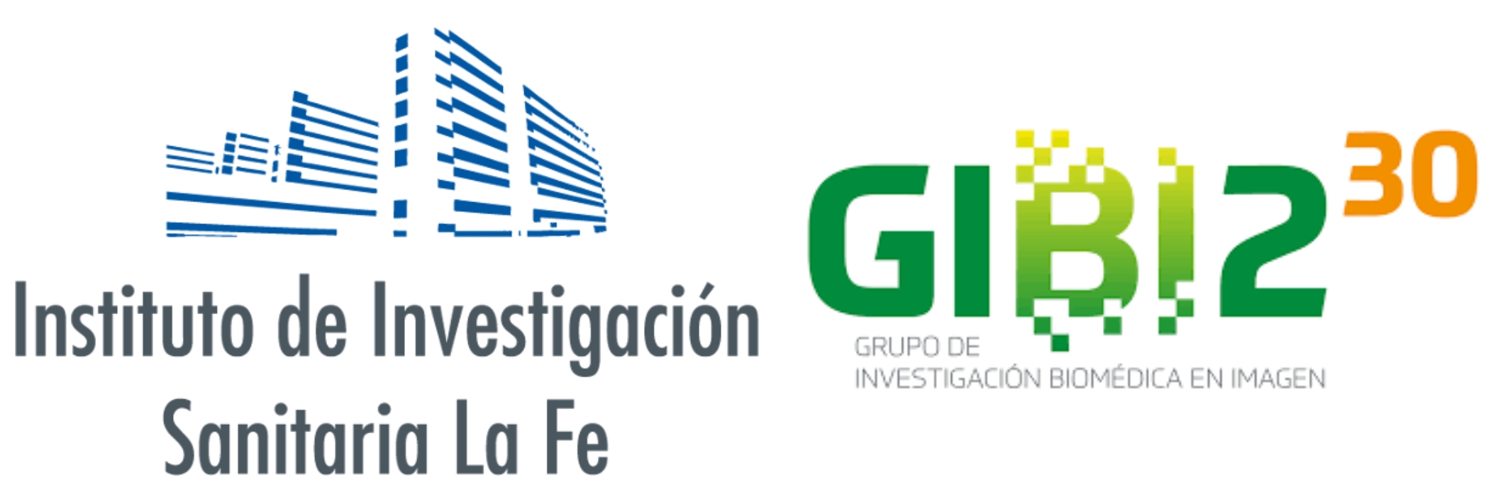 Biomedical Imaging Research Group (GIBI230)